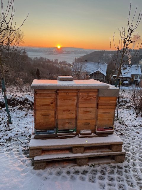Sonnenaufgang im Winter