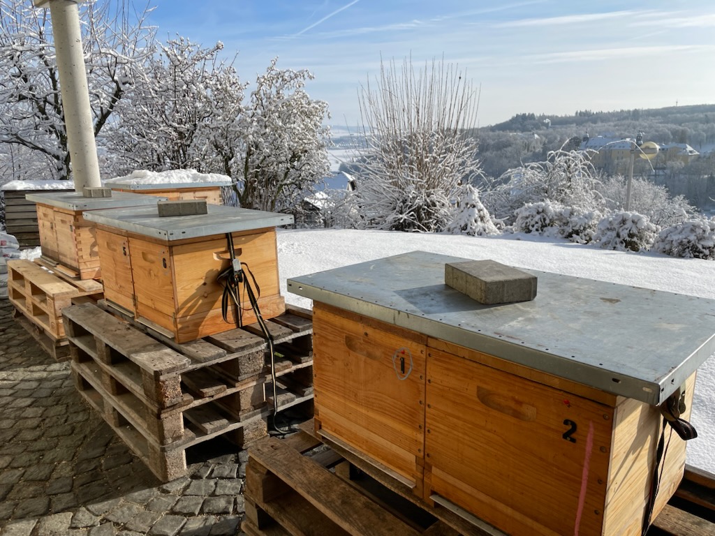Beuten im Winter