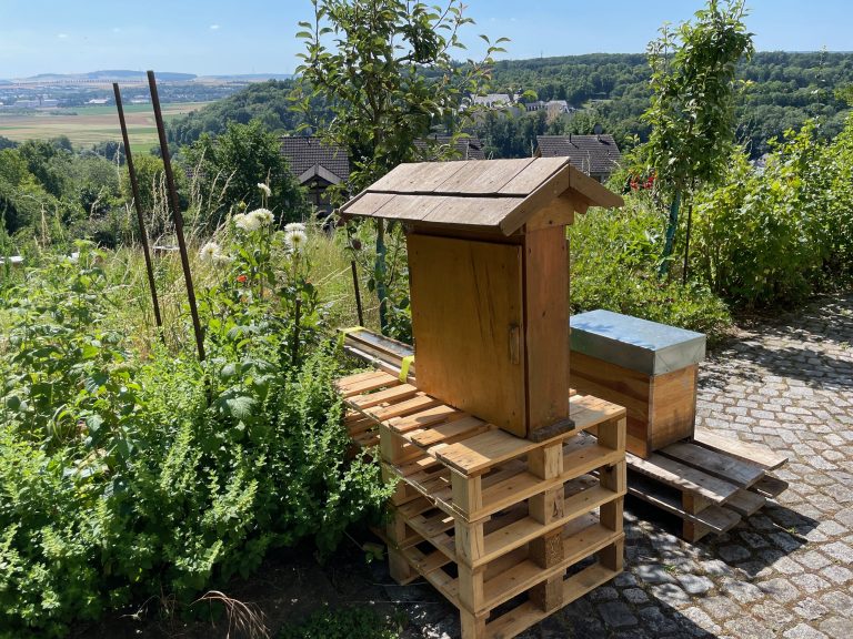 Schaubeute