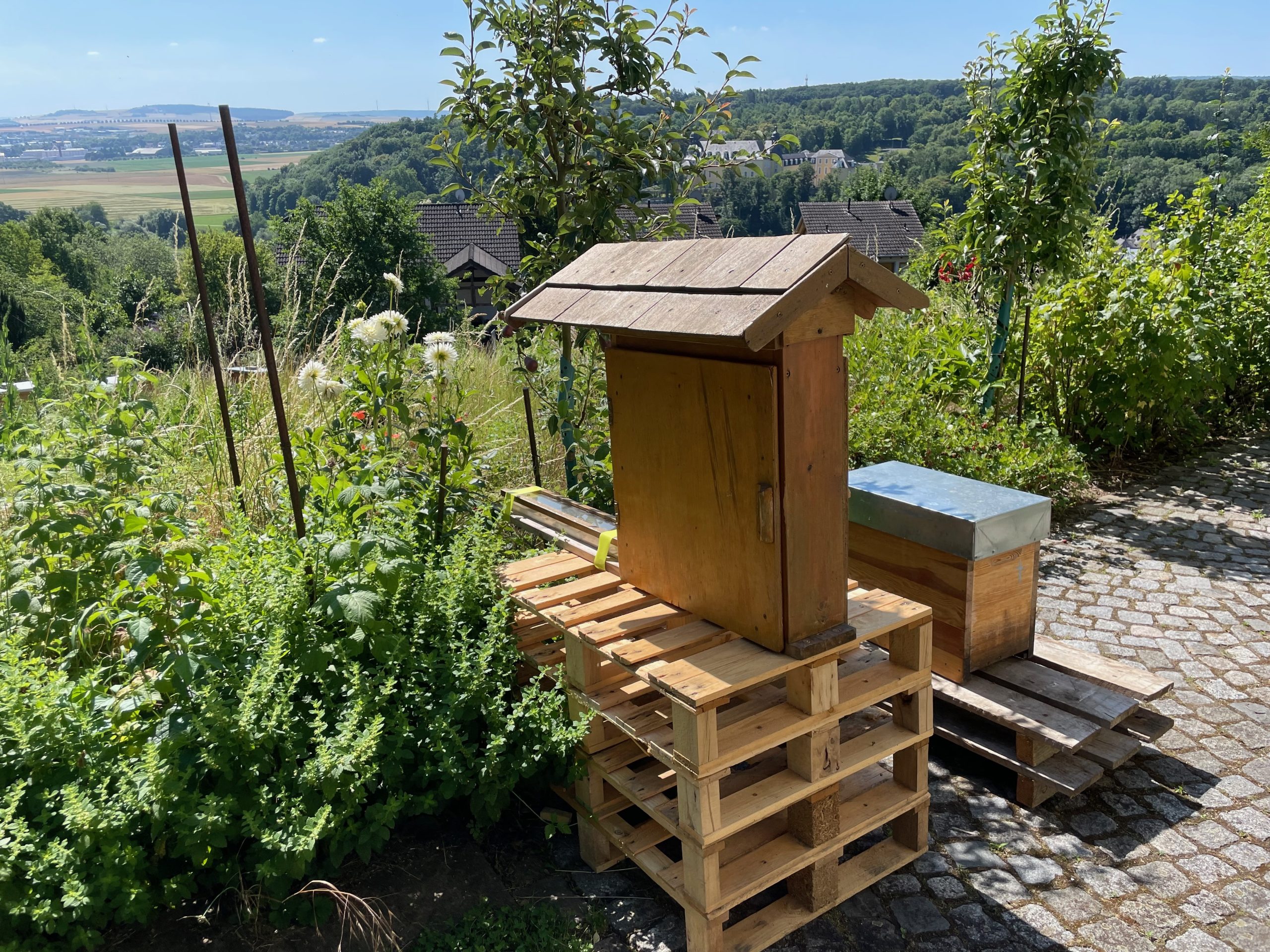 Schaubeute mit Blick ins Tal