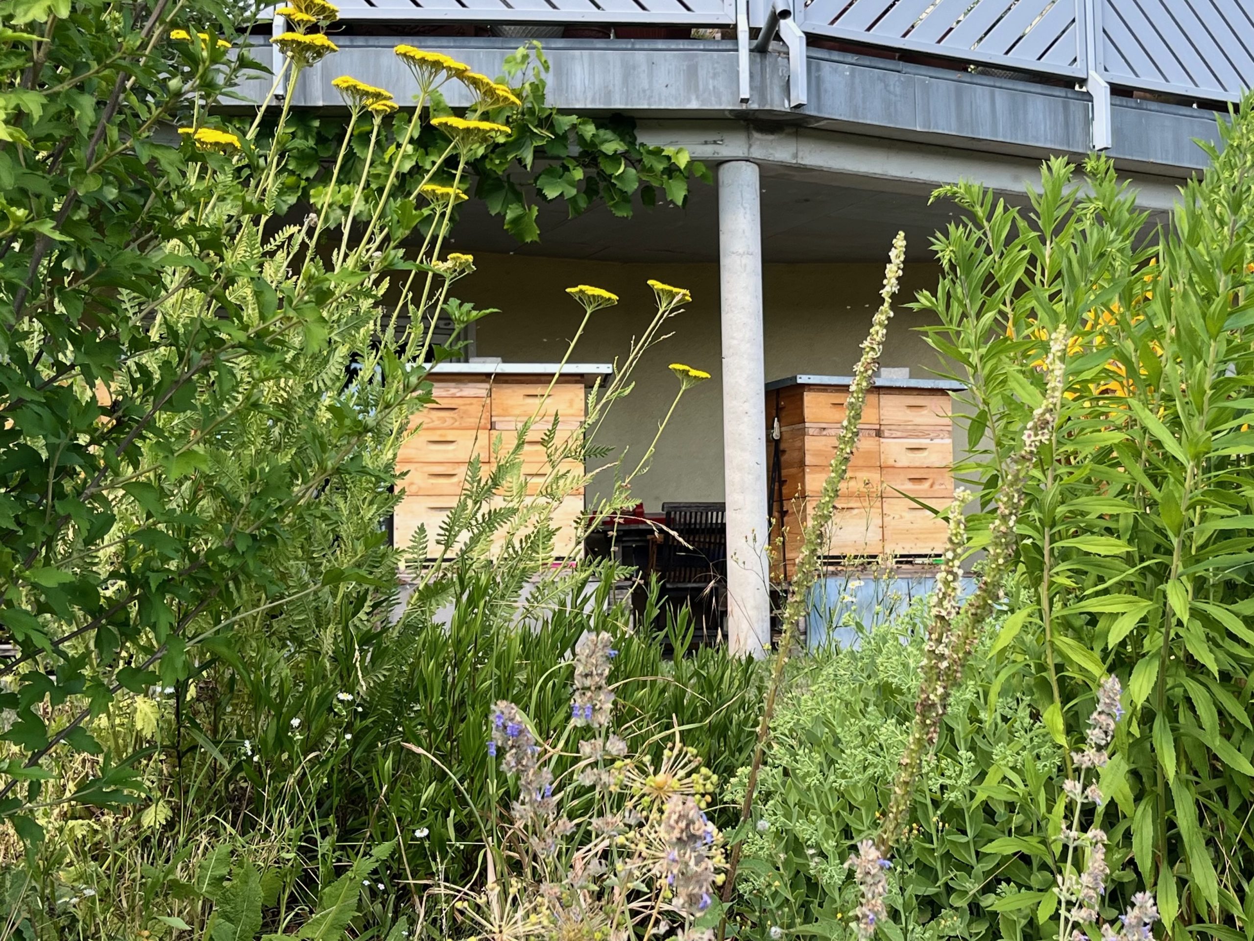 Beuten unter dem Balkon