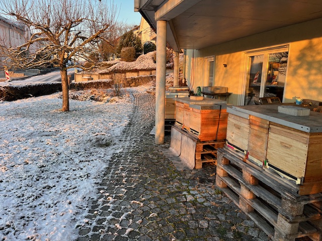 Beutenstand im Winter