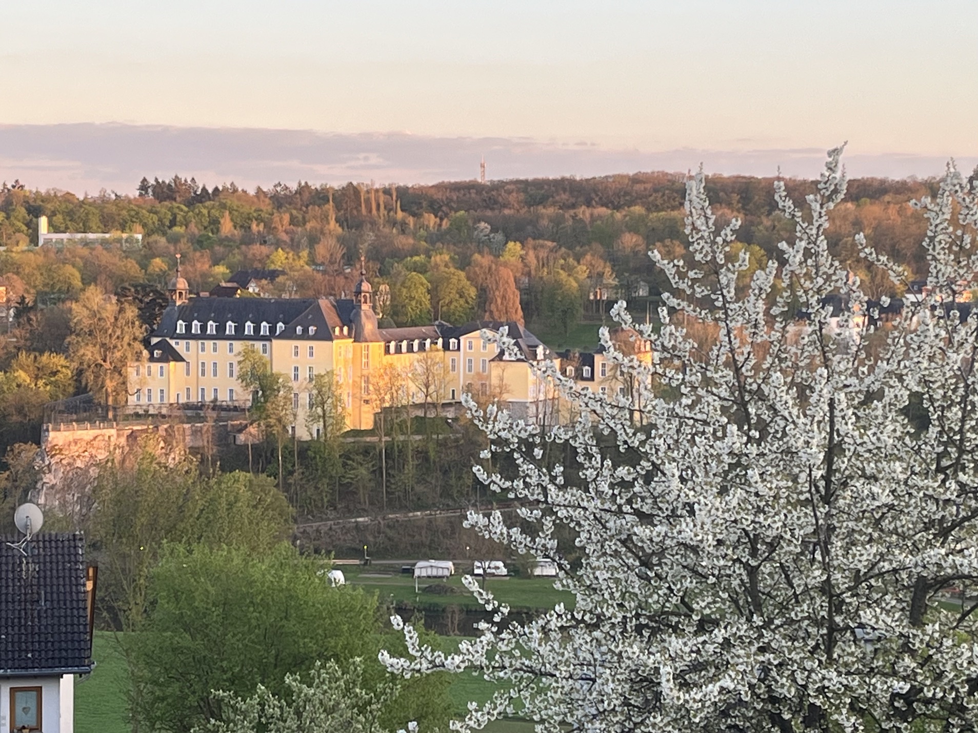 Kirschbaum und Schloss