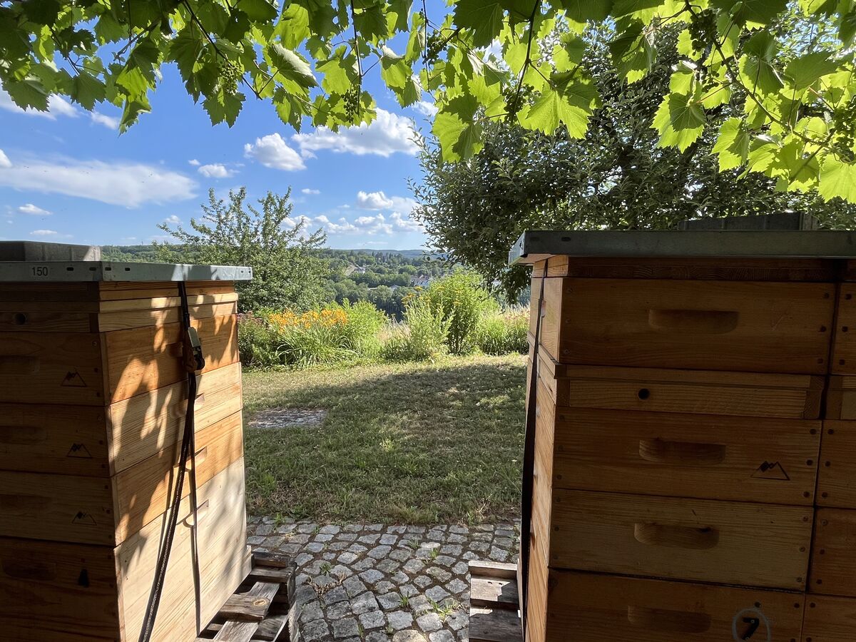 Blick über das Lahntal von den Bienenstöcken aus