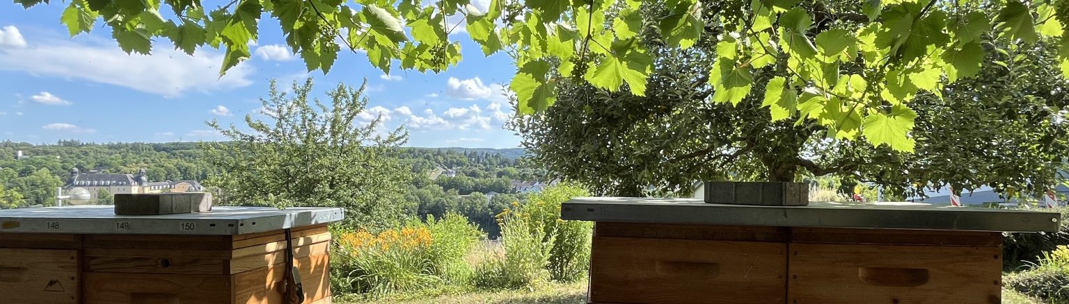 Bienenbeuten unter einem Baum mit Blick ins Lahntal